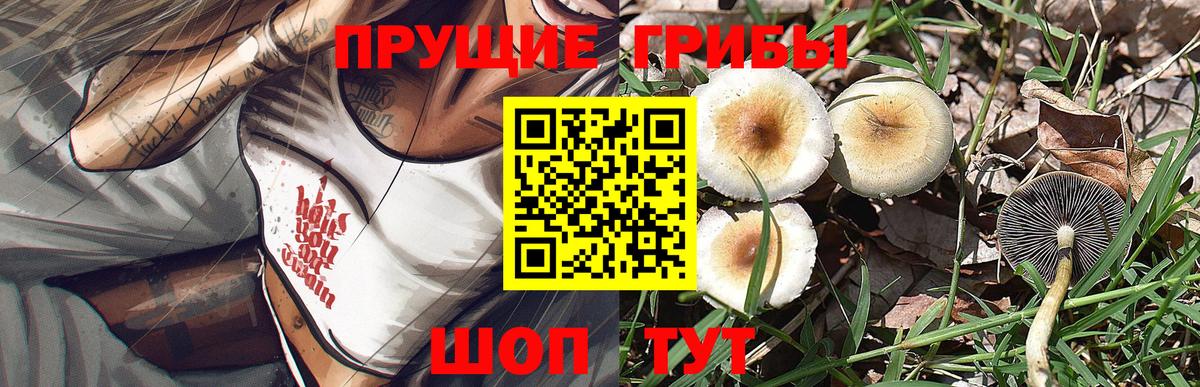 Псилоцибиновые грибы Magic Shrooms Уссурийск