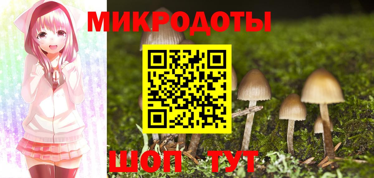 купить наркотики сайты  Вход с VPN  Уссурийск  Галлюциногенные грибы Cubensis 